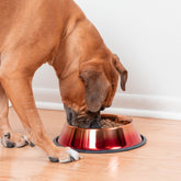 Copper Sunset Ombre Pet Dish - Aaria Tees