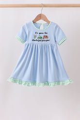 Blue Farm Embroidered Dress - Aaria Tees