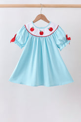 Blue Apple Embroidered Dress - Aaria Tees