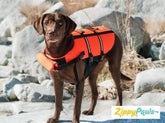 Adventure Dog Life Jacket - Aaria Tees