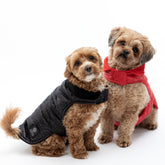 AKC Belly Band Dog Puff Coat - Aaria Tees