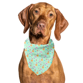 Happy Birthday Aqua Tie On Dog Bandana - Aaria Tees