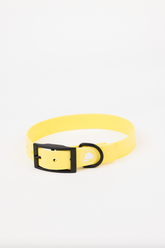 The Modern Dog Company - Daffodil Yellow Collar (Weather + Odor Resistant) - Aaria Tees