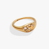 Aries Zodiac Ring - Aaria Tees