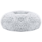 562922231