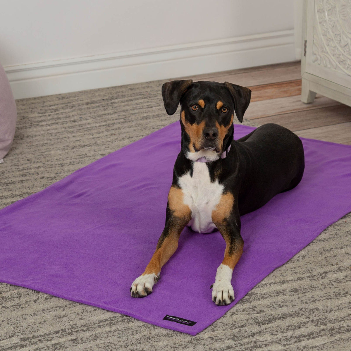 Snuggle Paws Signature Pet Blanket - Aaria Tees