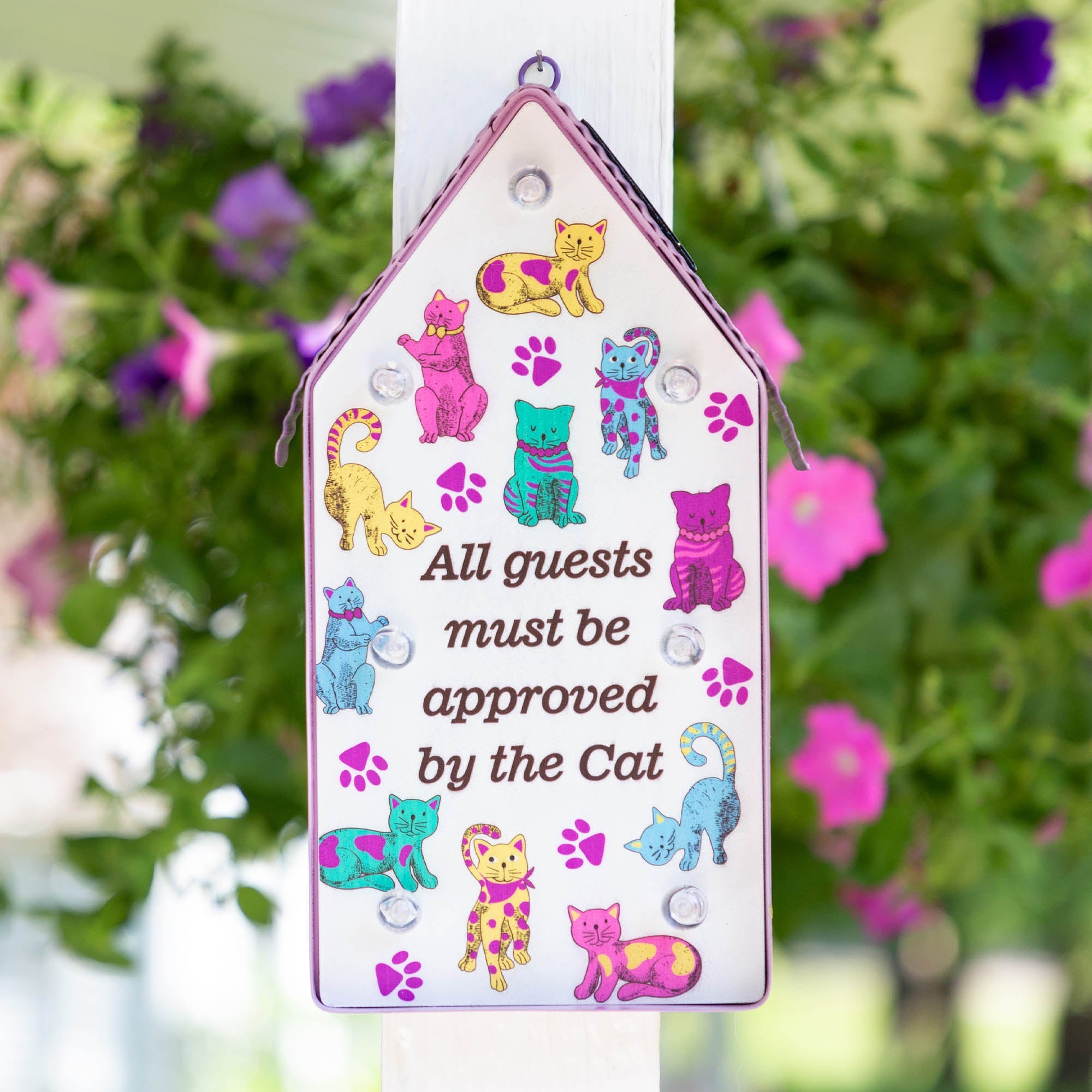 All Guests Solar Light - Aaria Tees Aaria Tees