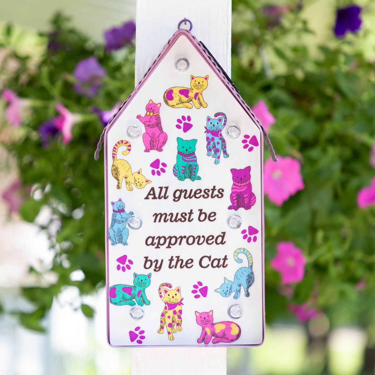 All Guests Solar Light - Aaria Tees