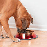 Copper Sunset Ombre Pet Dish - Aaria Tees Aaria Tees