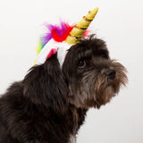 Perfectly Precious Pet Costume - Aaria Tees Aaria Tees