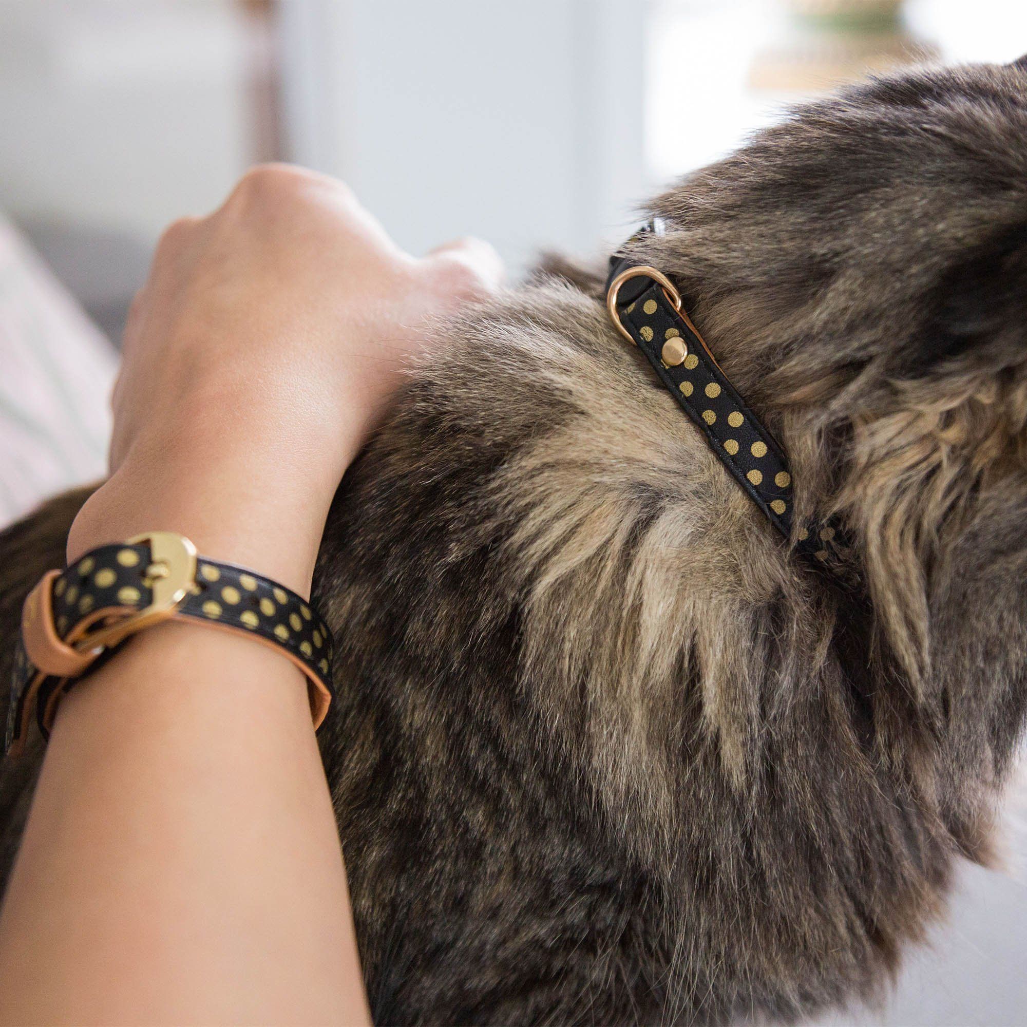 Friendship Cat Collar & Bracelet Set - Aaria Tees Aaria Tees