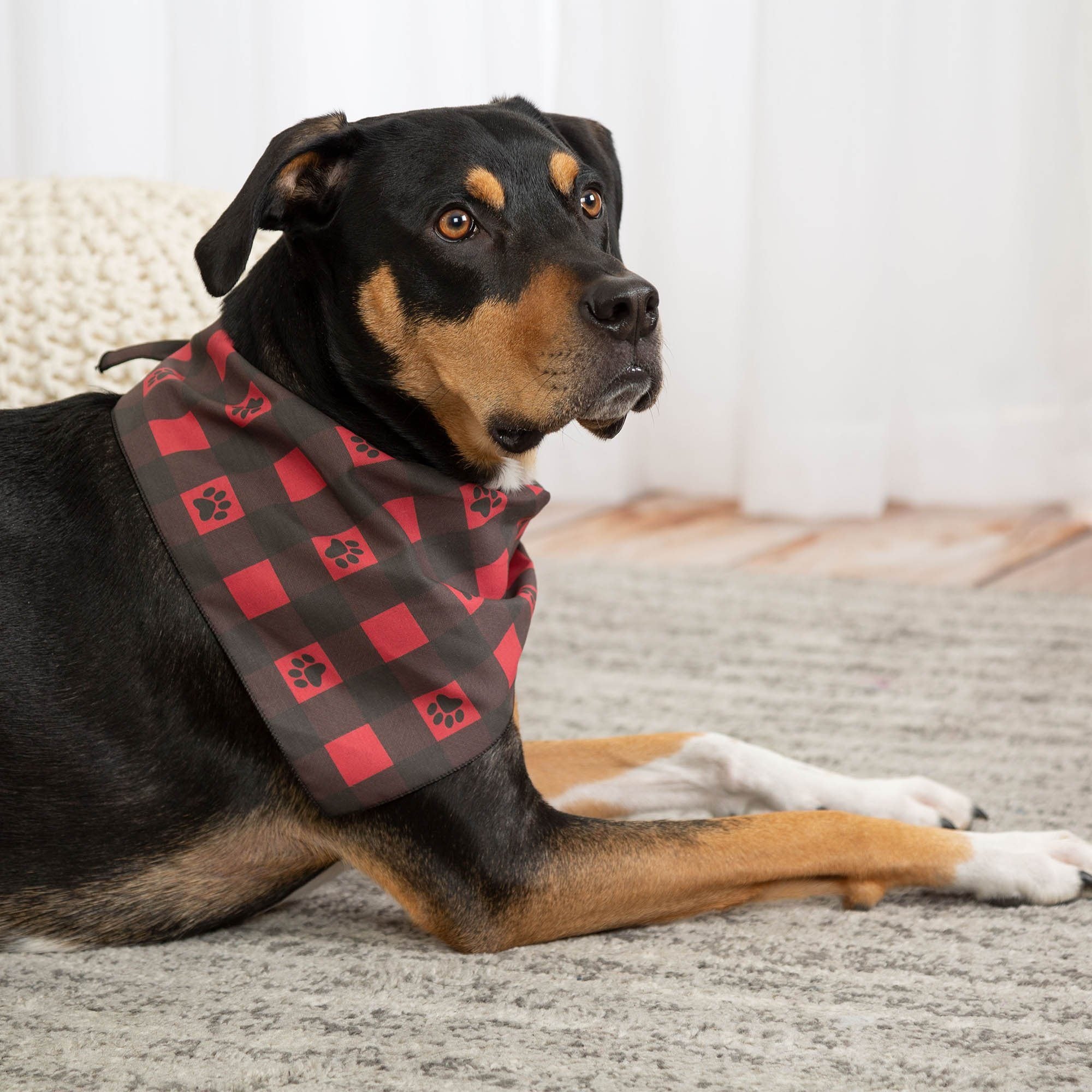 Patterned in Paws Pet Bandana - Aaria Tees Aaria Tees