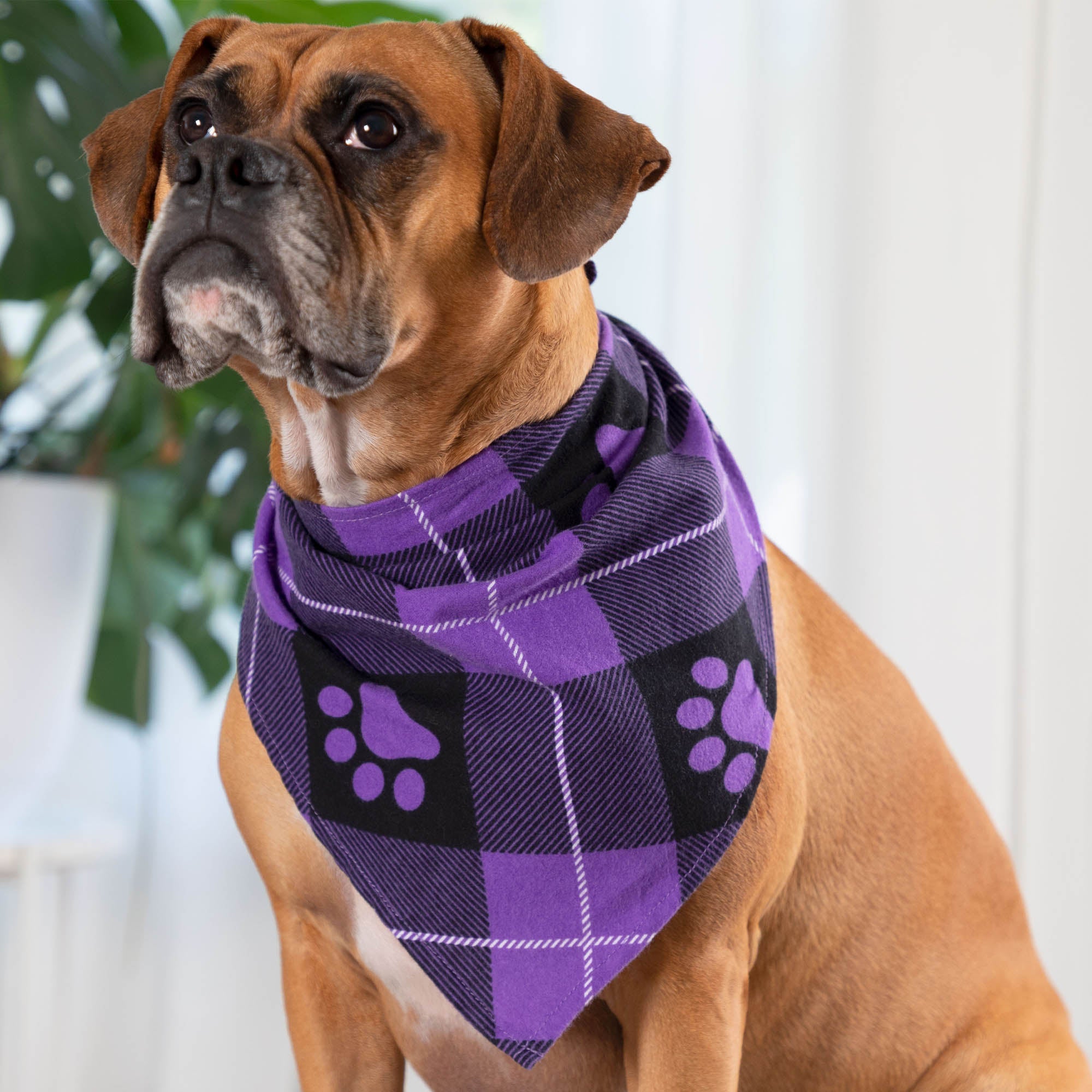 Plaid Paws Pet Bandana - Aaria Tees Aaria Tees