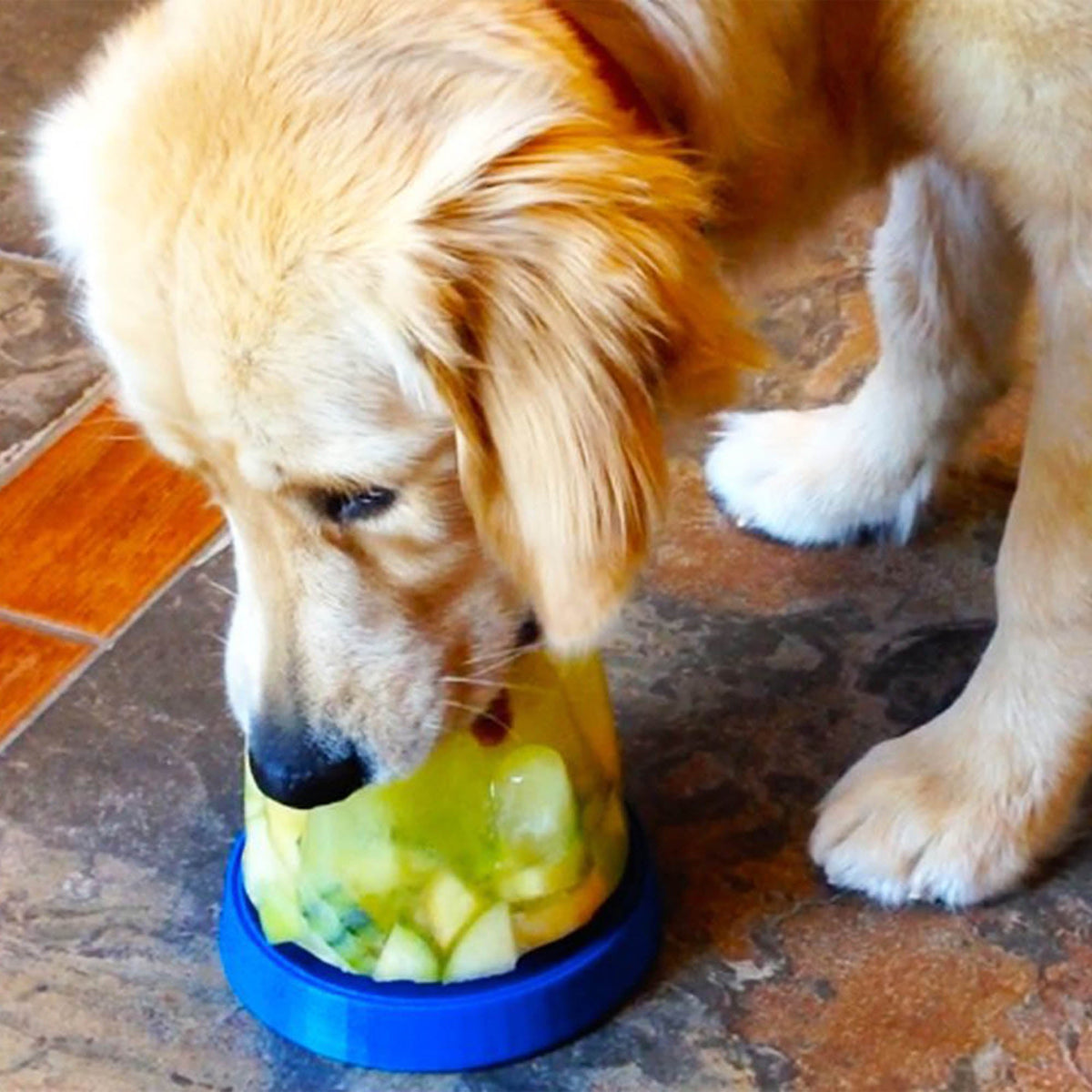 Doggie Cone DIY Frozen Dog Treat - Aaria Tees