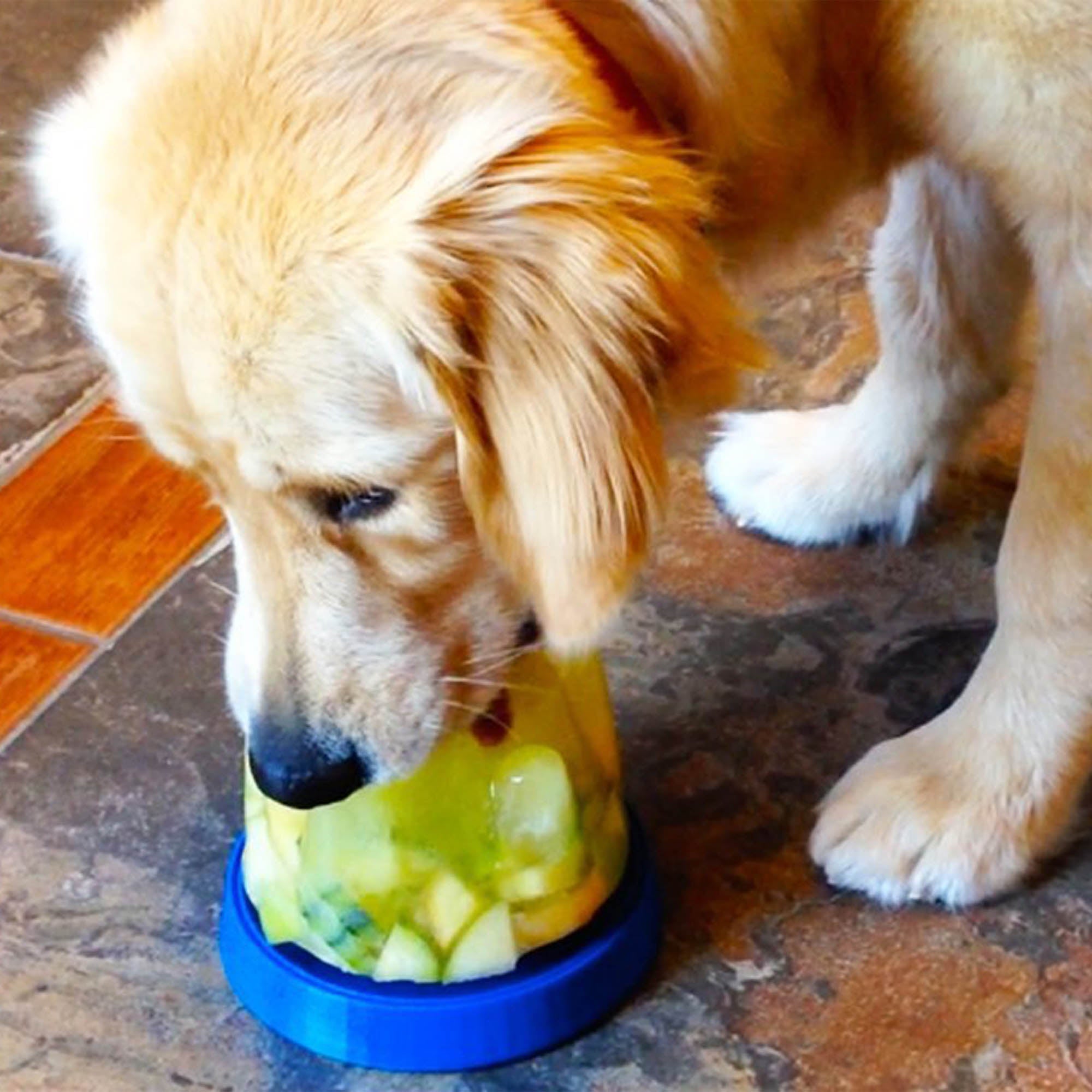Doggie Cone DIY Frozen Dog Treat - Aaria Tees Aaria Tees