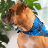 Plaid Paws Pet Bandana - Aaria Tees Aaria Tees