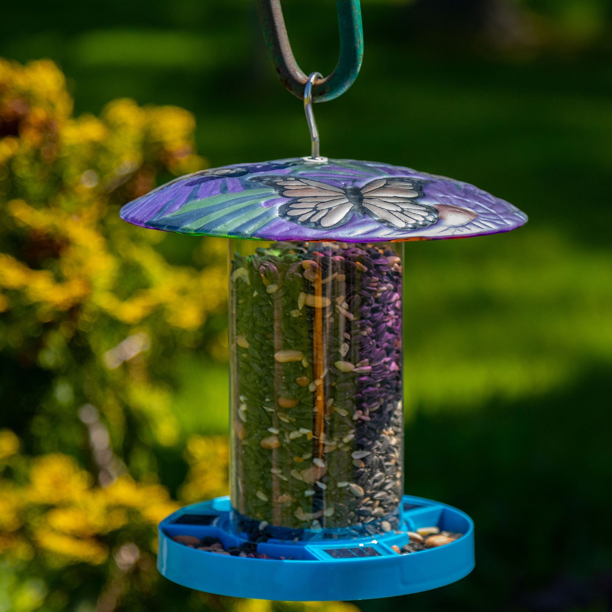 Bright & Bold Solar Bird Feeder - Aaria Tees Aaria Tees