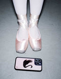 Black Swan iPhone Case Aaria Tees