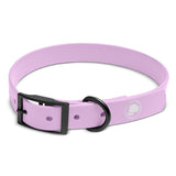 The Modern Dog Company - Blush Pink Collar (Weather + Odor Resistant) Aaria Tees