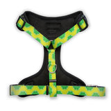 The Modern Dog Company - Retro Taco Tuesday Harness Aaria Tees