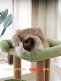 043e0011-1f28-4ee1-91b9-0fe467335953-Max-Origin Aaria Tees