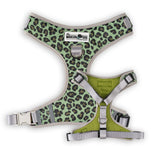 The Modern Dog Company - Walk on the Wild Side Harness Aaria Tees
