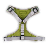 The Modern Dog Company - Walk on the Wild Side Harness Aaria Tees
