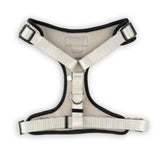 The Modern Dog Company - Music City Harness Aaria Tees