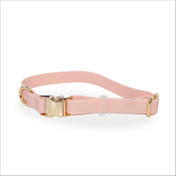 Waterproof Dog Collar | Pink Aaria Tees