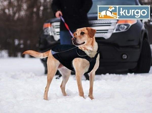 Waterproof North Country Dog Coat with LED Safety Light - Aaria Tees Aaria Tees