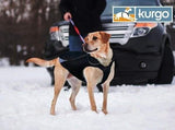 Waterproof North Country Dog Coat with LED Safety Light - Aaria Tees Aaria Tees