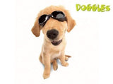 Racing Flames Doggles ILS Protective Dog Eyewear - Aaria Tees Aaria Tees