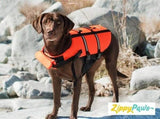 Adventure Dog Life Jacket - Aaria Tees Aaria Tees