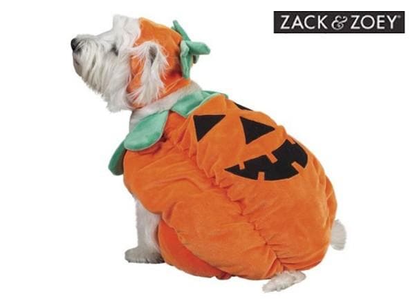 Pumpkin Costume by Zack & Zoey - Aaria Tees