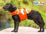 Fun Fish Dog Life Jacket - Aaria Tees Aaria Tees