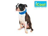 iCool Pet Scarf - Aaria Tees Aaria Tees