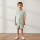 Organic Shirt & Shorts Set - Basil Stripes - Aaria Tees Aaria Tees