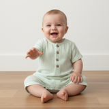 Organic Short Bubble Romper - Basil Stripes - Aaria Tees Aaria Tees