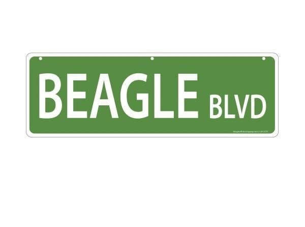 Imagine This Pet-Themed Street Signs - Aaria Tees Aaria Tees