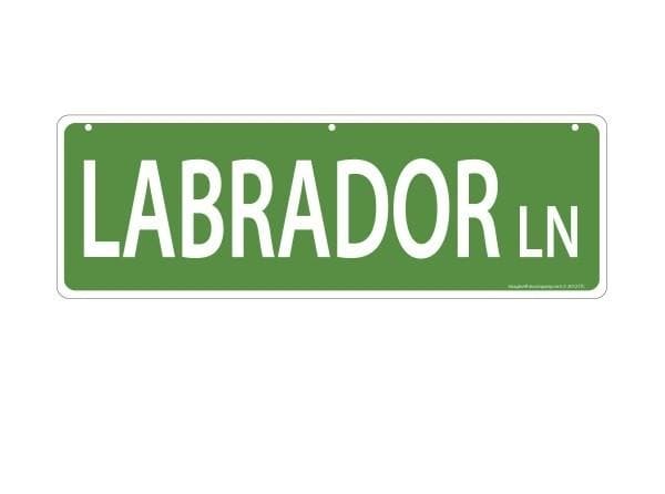 Imagine This Pet-Themed Street Signs - Aaria Tees Aaria Tees