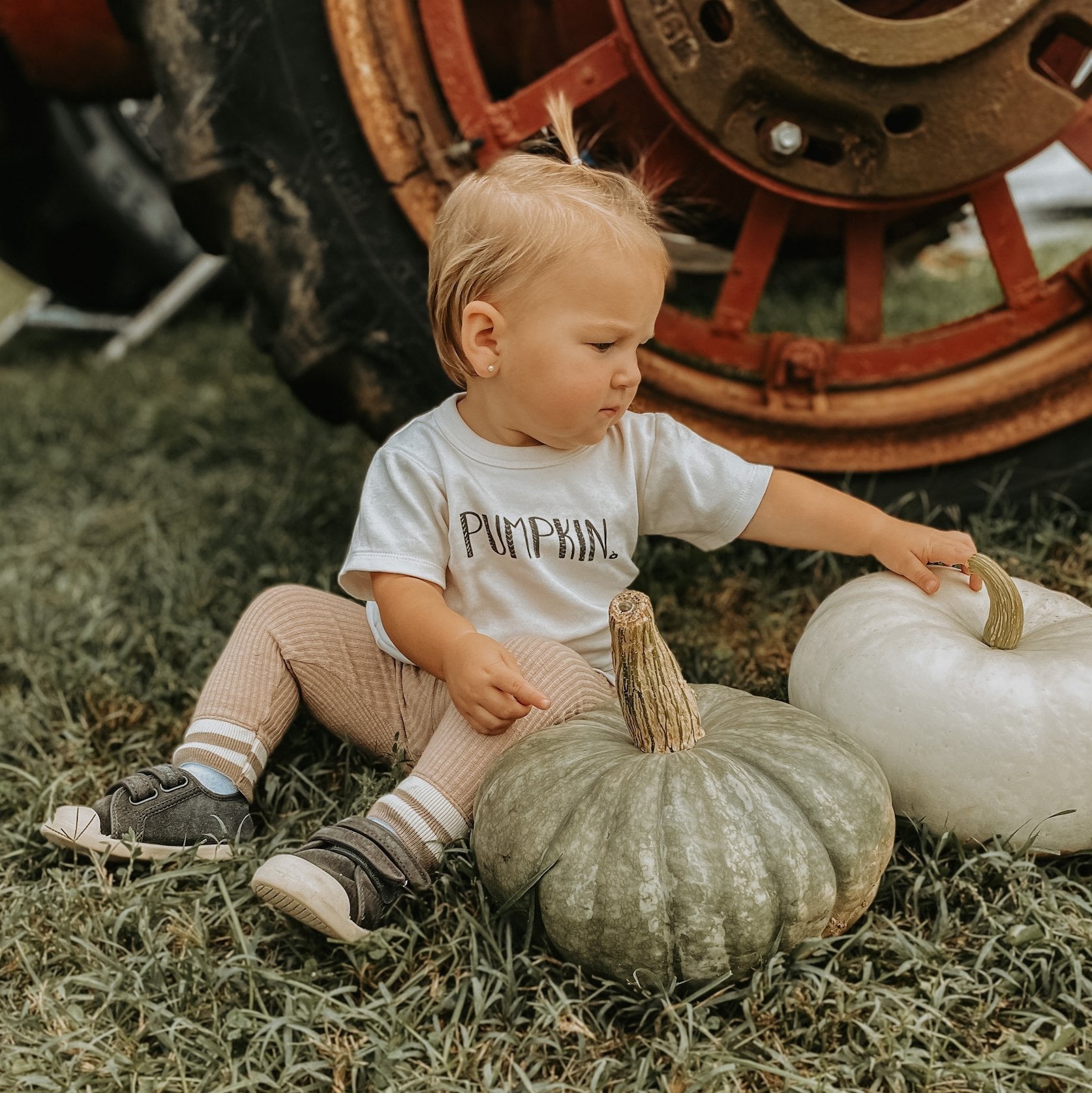 graphic tee | pumpkin - Aaria Tees Aaria Tees