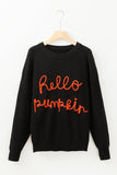 Hello Pumpkin Graphic Sweater - Aaria Tees Aaria Tees