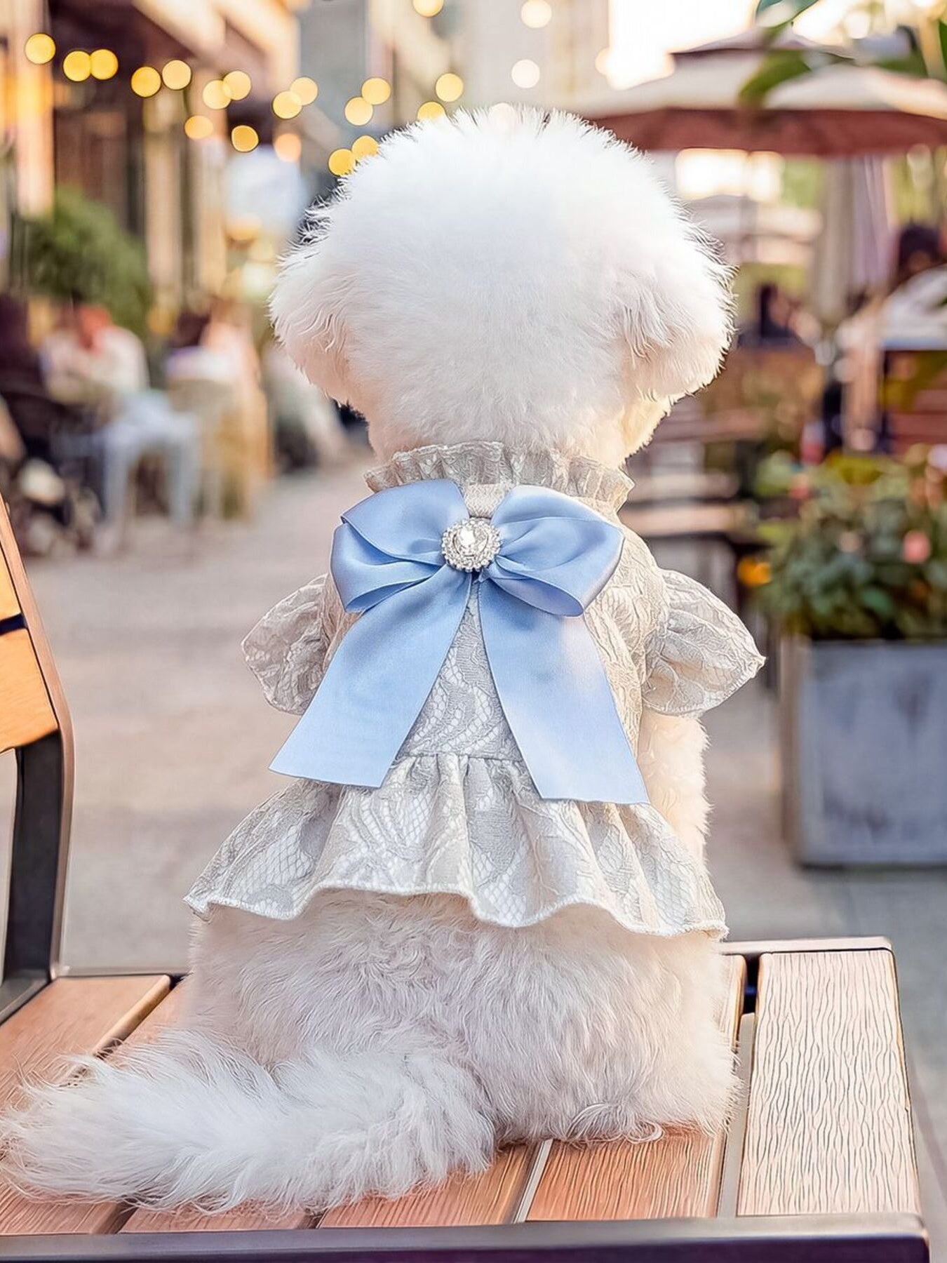 71dca0690b8c49229f638399ae1e24ab-Max Aaria Tees