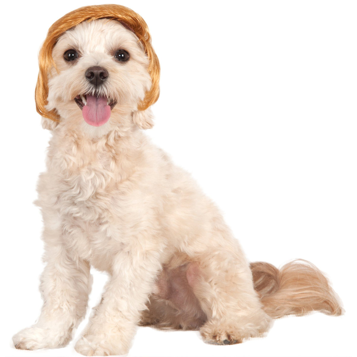 Pawlitical Billionaire Wig Pet Costume - Aaria Tees