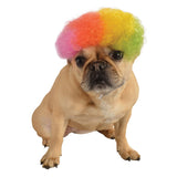 Rainbow Afro Pet Wig - Aaria Tees Aaria Tees