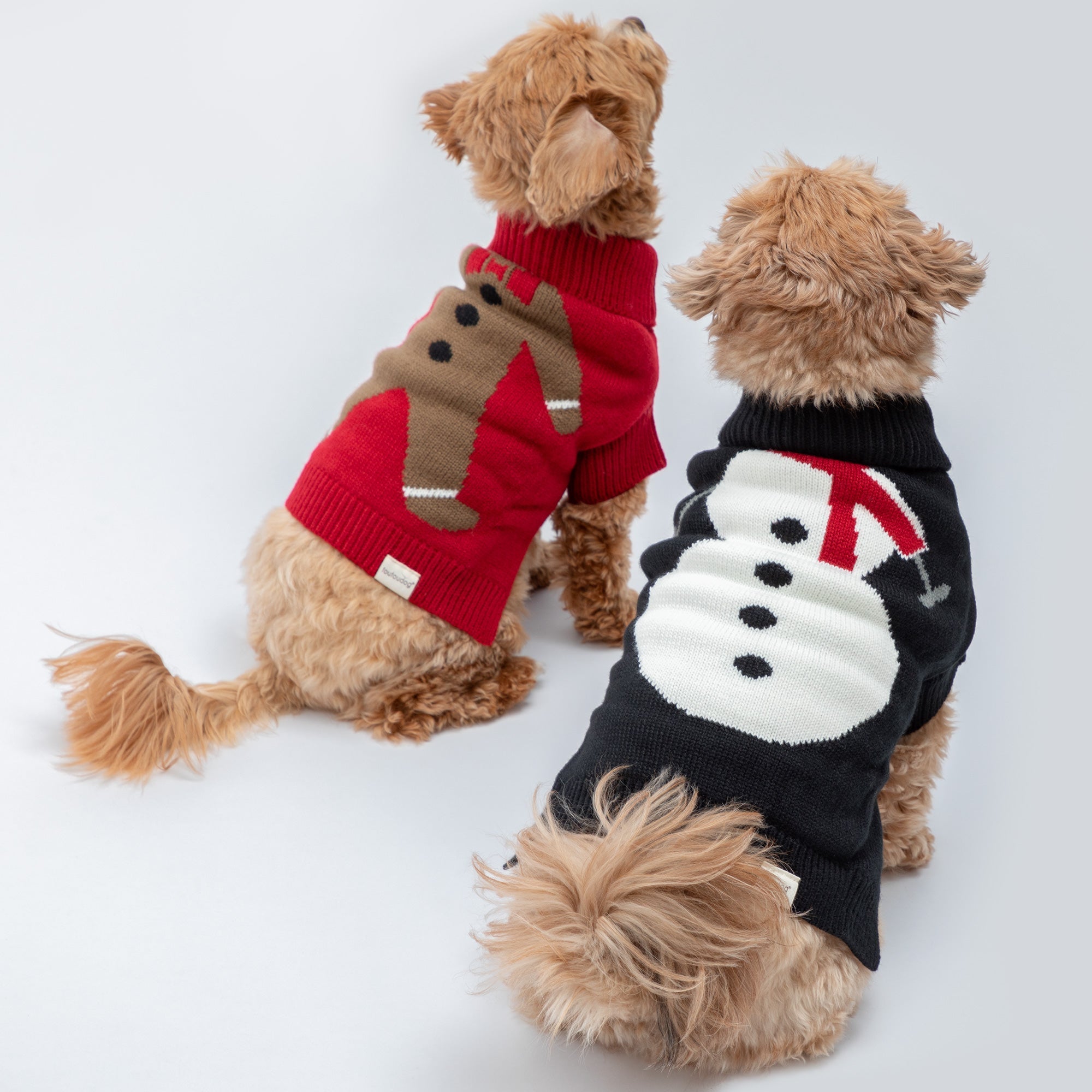 Cozy Christmas Pet Sweater - Aaria Tees Aaria Tees