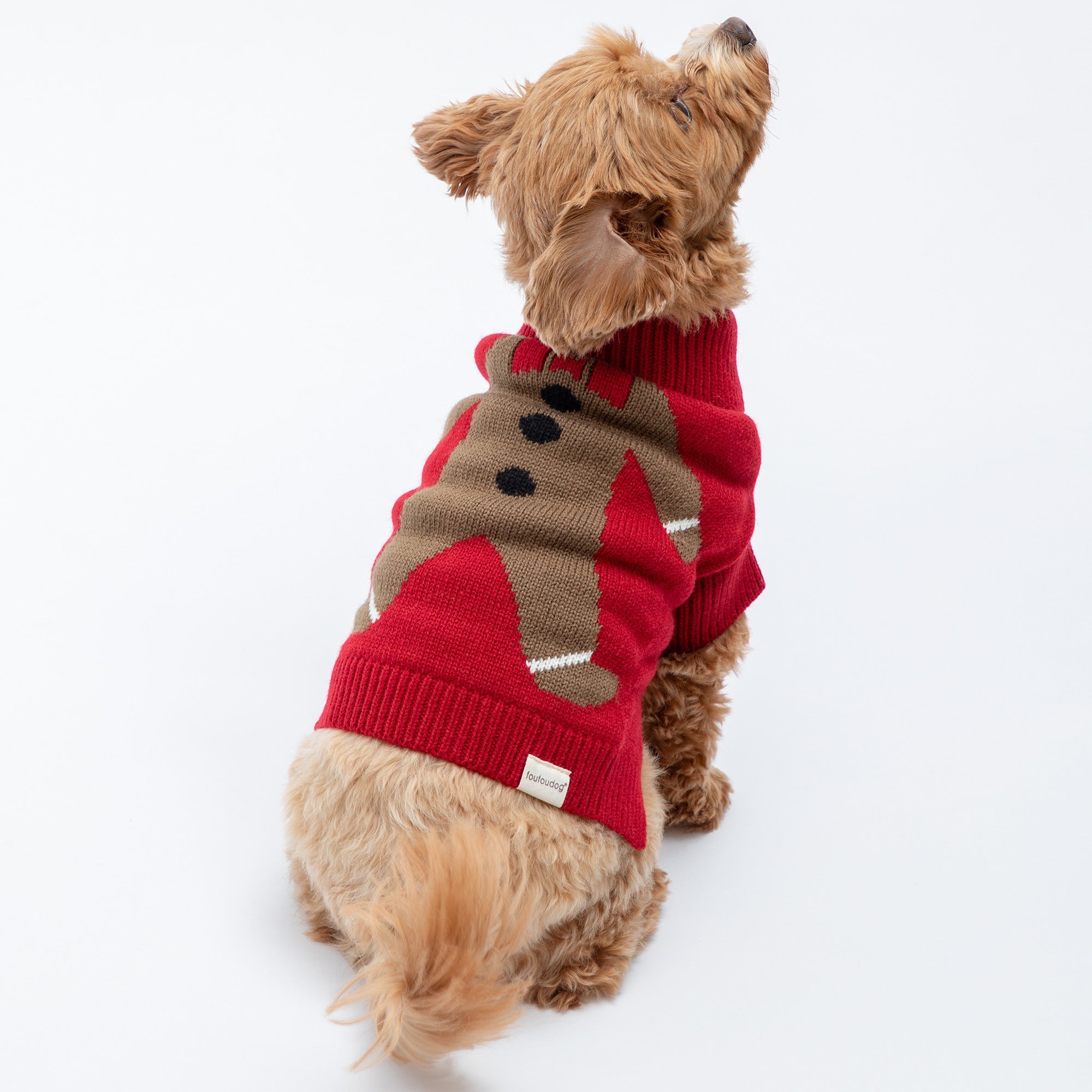 Cozy Christmas Pet Sweater - Aaria Tees Aaria Tees
