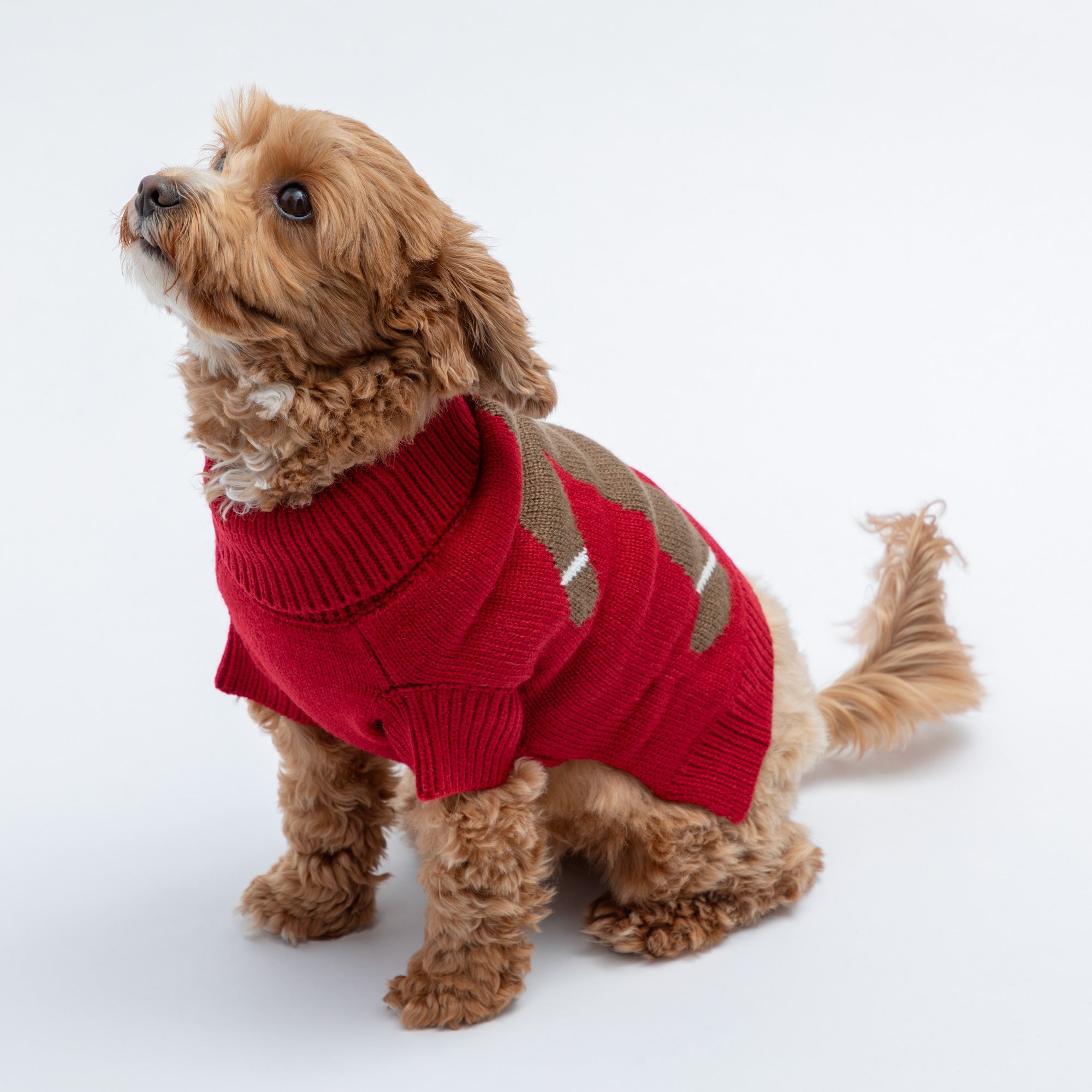 Cozy Christmas Pet Sweater - Aaria Tees Aaria Tees
