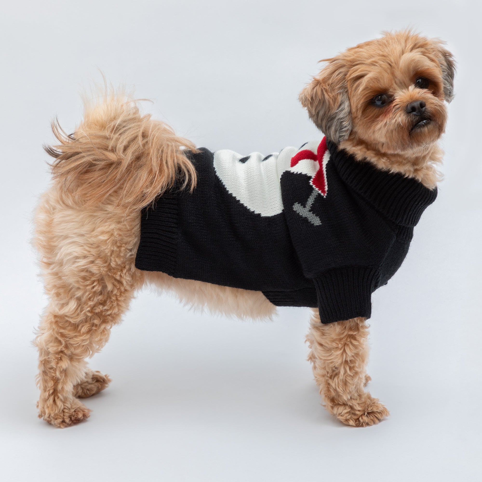 Cozy Christmas Pet Sweater - Aaria Tees Aaria Tees