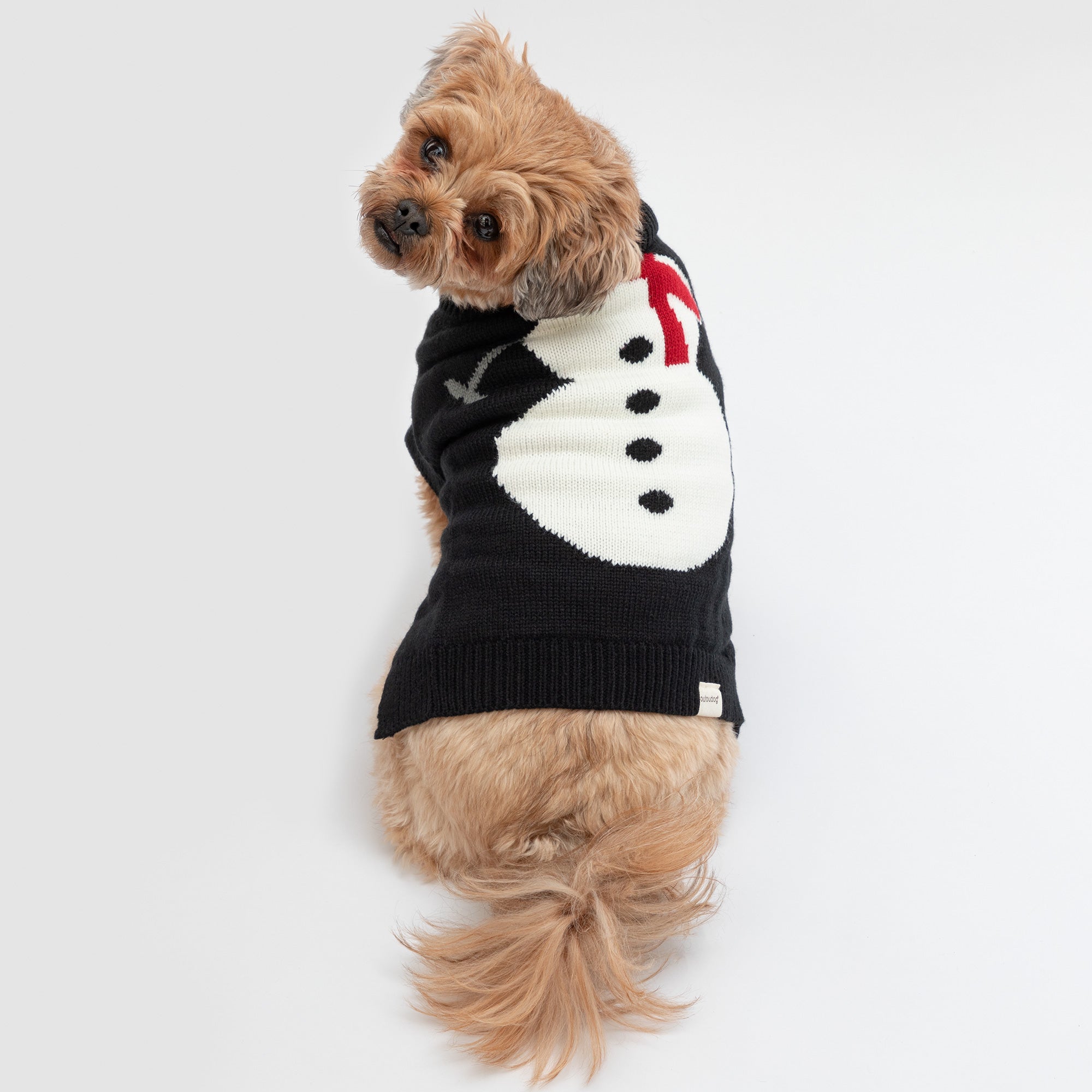 Cozy Christmas Pet Sweater - Aaria Tees Aaria Tees